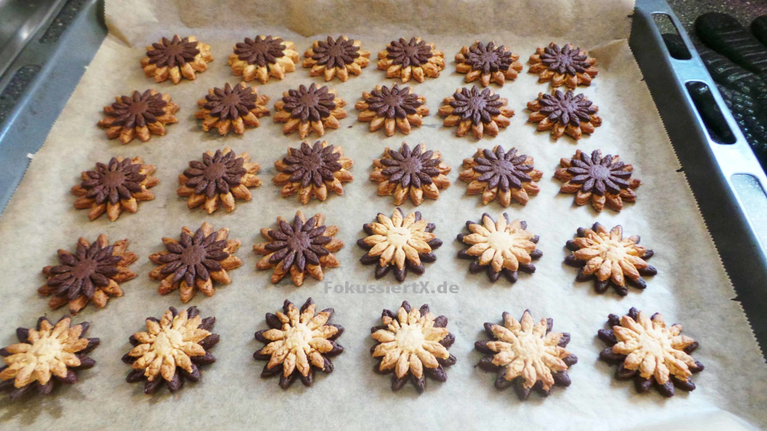 Haselnuss Kakao Kekse Rezept einfach - Schritt für Schritt Anleitung