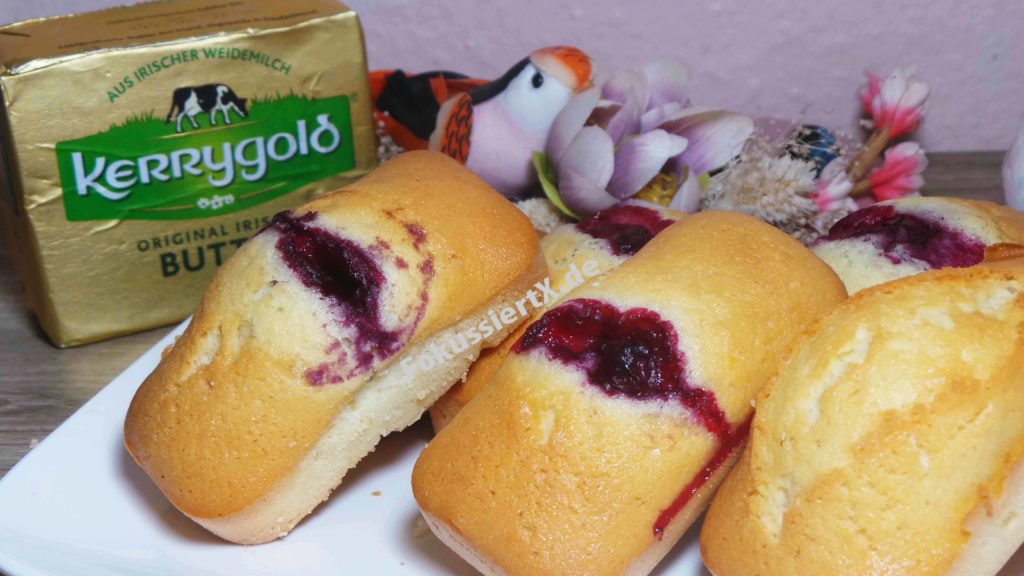 Mini Eiweiß Kuchen FokussiertX