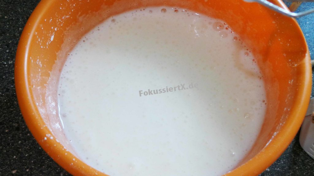 Mini Eiweiß Kuchen FokussiertX